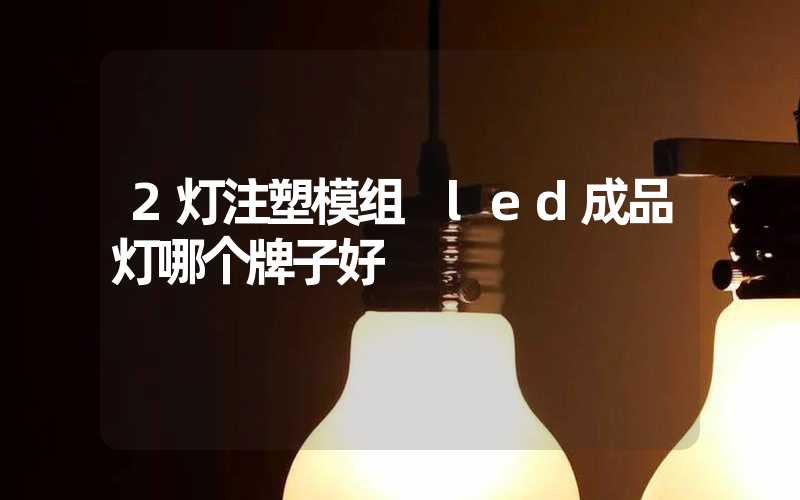 2灯注塑模组 led成品灯哪个牌子好